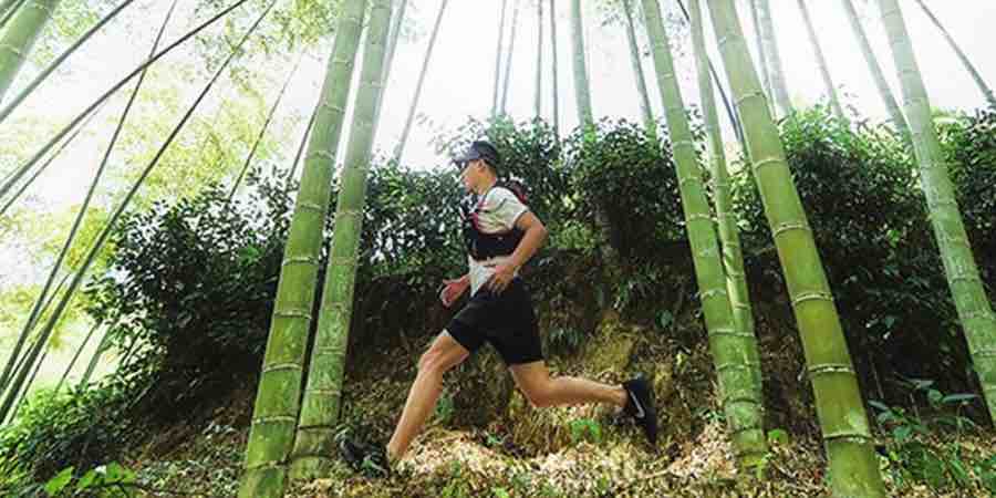 UTOBEST Mochilas de Running Ligero Paquete de hidratación Funcional Chaleco  de Running 5.5L (Negro con vejiga de Agua de 1.5L) : : Deportes y  aire libre
